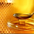 نحل العسل والمناعة المكتسبة