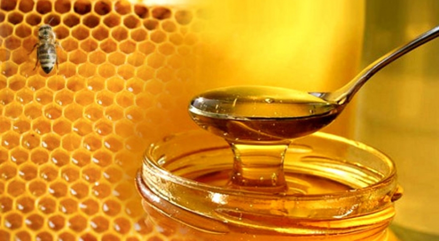 نحل العسل والمناعة المكتسبة